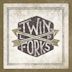 Twin Forks