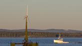 Environmental study clears the way for Gulf of Maine offshore wind research lease