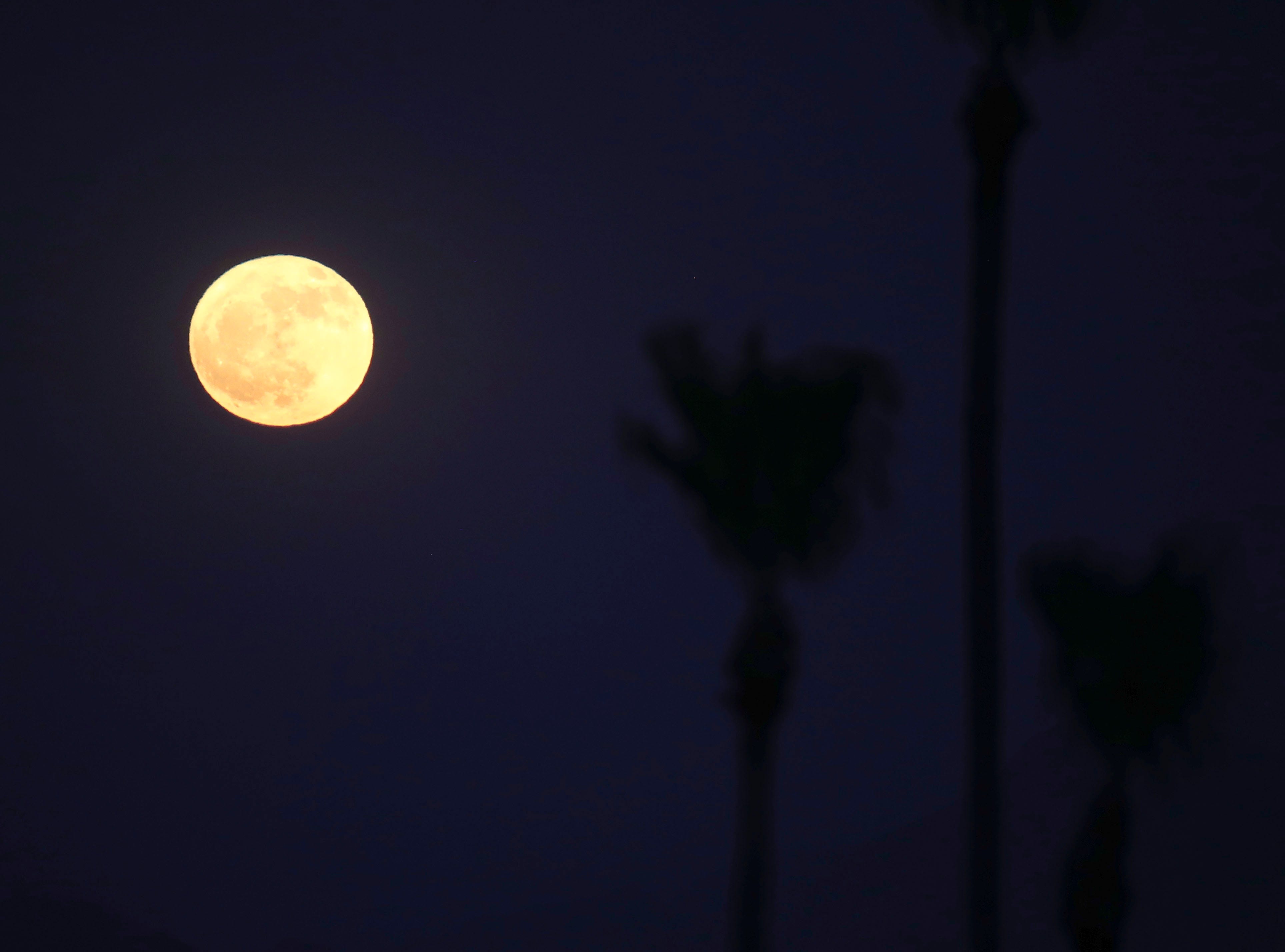 When is the next full moon? It's going to be a super one in August
