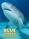 Blue World: Shark Encounters in the Deep