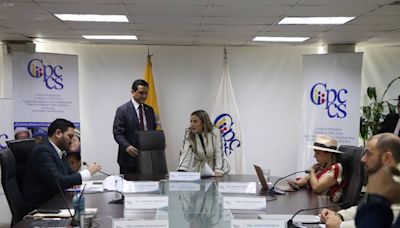 En los próximos días se conocerá si Nicole Bonifaz recupera la presidencia del Consejo de Participación Ciudadana