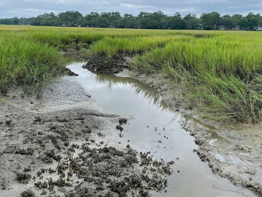 SC pluff mud is a dangerous mess. Here’s what it is, how to escape it or avoid it entirely