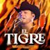 Tigre