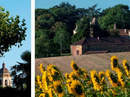 Vins de Côtes-de-gascogne : le bon plan gascon