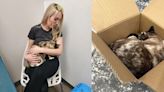 Couple Accidentally Ships Their Cat with an Amazon Return–1 Week and 3 'Miracles' Later They're Reunited