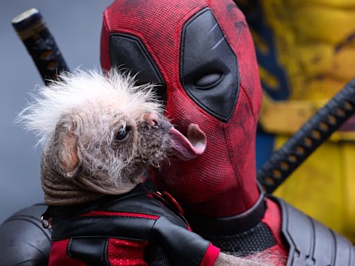 Deadpool & Wolverine's New Trailer Has Fans Saying One Thing About Lady Deadpool - Looper