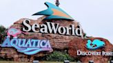 Former SeaWorld worker charged with invasive visual recording