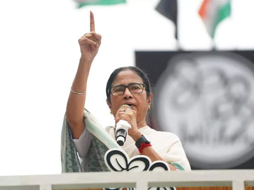 NDA Govt will fall anytime, says Bengal CM Mamata Banerjee - The Economic Times