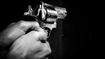 Shocker! Brother Kills Brother Over Land Dispute In MP's Morena; Accused On The Run