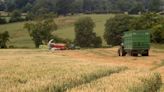 Gerry Giggins: How to store your cereal crop in the most effective way for your livestock