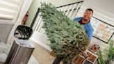 Where High Desert residents can dispose Christmas trees in Victorville, Hesperia, Barstow