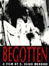 Begotten (film)