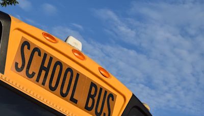 Electric school buses could be replacing some diesel vehicles in five more Florida school districts