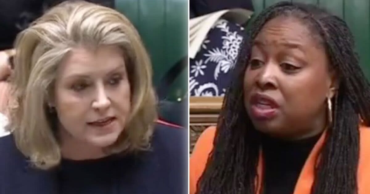 Penny Mordaunt savages Labour's Dawn Butler with three-word jibe