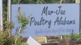 Jasper poultry plant accused to violating federal child labor laws