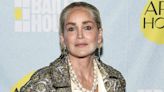 Sharon Stone Reflects on Drug Usage of Family and Friends: ‘A Lot of My Friends Are Dead’