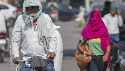 Heatwave: Temperatures to cool down gradually in North India over the next 2-3 days, says IMD