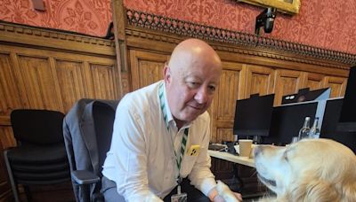 Parliamentary pup Jennie loves a ‘good lie down’ in the Commons chamber