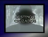 Destinos cruzados