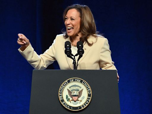 The Divine Nine To Activate Thousands Of Chapters To ‘Ensure Strong Voter Turnout’ For Kamala Harris