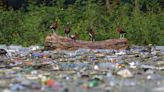 Global plastic treaty talks are happening. What do stakeholders want?