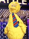 Big Bird vs. Jason Schwartzman