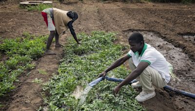 The AI Revolution Comes for Farmers Growing a Third of Our Food