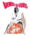 Venus in Furs