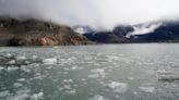 Scientists scramble as rare rain events in the Arctic trigger issues: 'We are trying to keep up with what is going on'