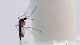 Mosquitoes found across Scotland as temperatures warm