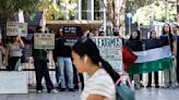 Más de 150 profesores de la Universitat de València firman un manifiesto de apoyo a los estudiantes de la Acampada por Palestina
