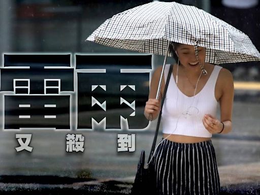 天文台 : 雷雨區會在未來一兩小時影響本港