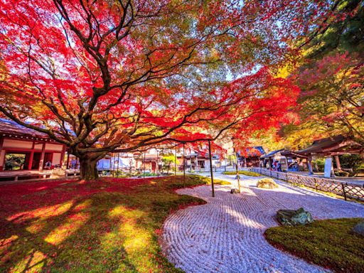 福岡紅葉2024+5大景點推介/最佳賞楓時間/紅葉預測