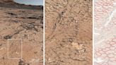 Descubren en Marte pruebas fósiles de un clima cíclico similar al de la Tierra