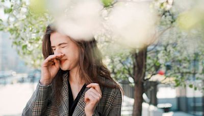 Estornudos, congestión nasal o picor de ojos: El olivo dispara en Jaén los síntomas de alergia