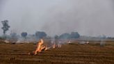 Indian farmers carry on burning stubble despite cost to health