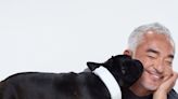 Cesar Millan Just Dropped His Holiday Gift Guide for Dogs—Here's What Every Pet Parent Should Snag, ASAP