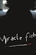 Miracle Fish