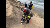 Hiker, 2 dogs found stranded on 200-foot bluff over beach, California firefighters say