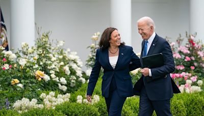 Fact-check: Is replacing Joe Biden on the ticket ‘unlawful’? Election law experts say it’s not