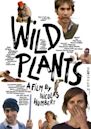 Wild Plants