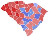 2022 South Carolina gubernatorial election