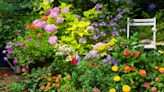 The Difference Between Perennial and Annual Plants
