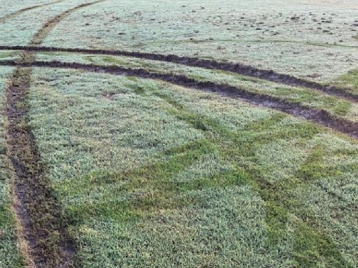 Someone tore up a just-restored Denham Springs youth soccer field: 'It almost looks malicious'