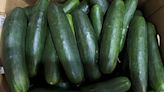 Salmonella outbreak may be linked to recalled cucumbers, CDC says