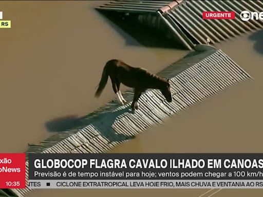 Lo más impactante de las inundaciones en Brasil: un caballo, atrapado en el tejado de una casa