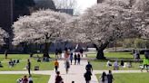 University of Washington ranked among the best universities in the world