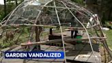Chicago First Nations Garden in Albany Park vandalized