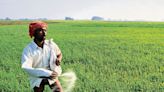 Can agriculture sector become India’s growth engine? Economic Survey 2024 says THIS | Mint