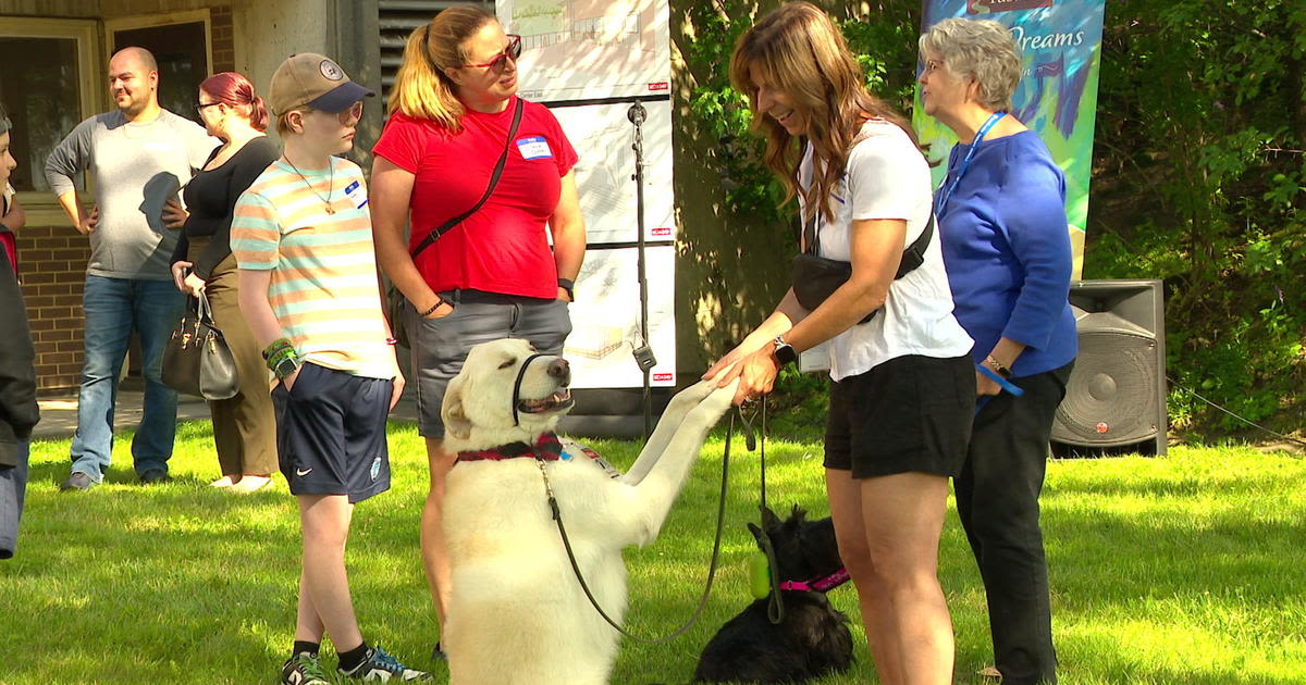 New Twin Cities domestic violence shelter to allow pets